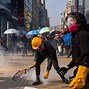 Image result for Hong Kong Revolt