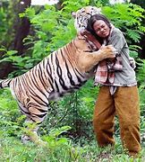 Image result for Human vs Tiger