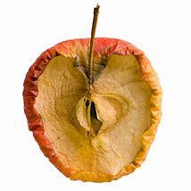Image result for Apples Are Rotten in the Middle