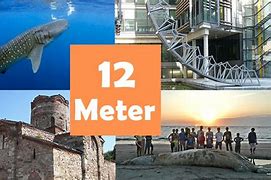 Image result for 12 Meters Tall