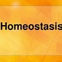 Image result for homeostasos