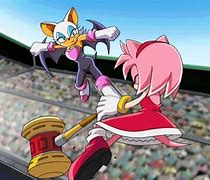 Image result for Rouge vs Amy Fight