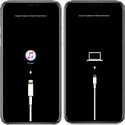 Image result for iPhone Black Screen with Apple Logo