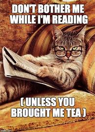 Image result for Cat Reading Meme