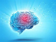 Image result for Human Brain Map