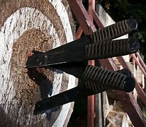 Image result for Combat Knife Throwing