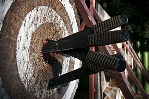 Image result for Throwing Knives Designs
