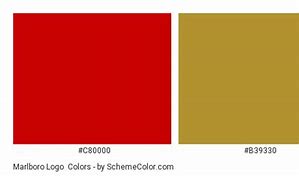 Image result for Marlboro Colors