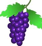 Image result for Grapes sunburn
