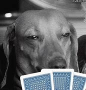 Image result for Funny Poker Face