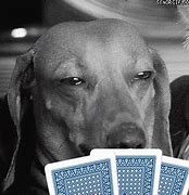 Image result for Funny Poker Face