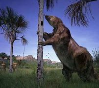 Image result for Ground Sloth Sid