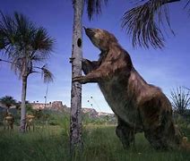 Image result for Ground Sloth Sid