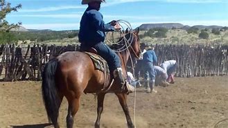 Image result for Boyd Cuvee Big Ranch