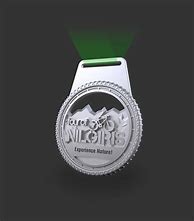 Image result for Softball and Award Medal Case