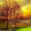 Image result for Nature Phone Wallpaper FHD