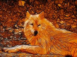 Image result for Cool Drawings of Wolves