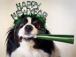Image result for Happy New Year Cute Dog