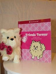 Image result for American Girl Friends Forever Book