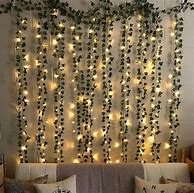 Image result for Vines and Fairy Lights Greeny Room