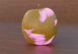 Image result for Enchanted Golden Apple