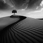 Image result for Black and White Scenery