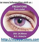 Image result for Gold Eye Contact Lenses