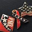 Image result for Map. Flag Push Pins