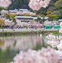 Image result for Sakura City Japan