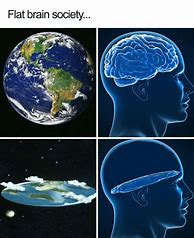 Image result for Earth and Brain Meme