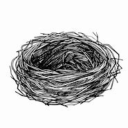 Image result for Bird Nest Sketch