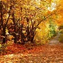 Image result for Fall Scenery Desktop