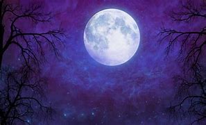 Image result for Starry Winter Night with Moon