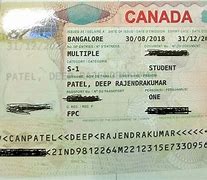 Image result for Student Visa