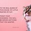 Image result for Clever Happy Birthday Cats