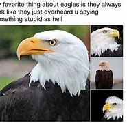 Image result for Eagle Arms Meme