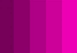 Image result for Magenta Color RGB