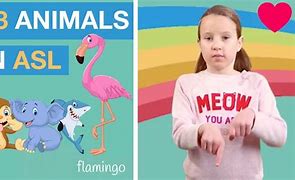 Image result for Learn Sign Language Animals