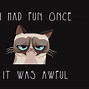 Image result for Desktop Wallpaper Cat Walking Meme