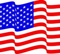 Image result for United States Flag Color