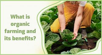 Image result for Benefits of Organic Farming