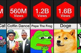 Image result for What's the Most Popular Meme