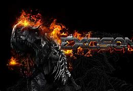 Image result for excision