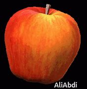 Image result for 14 Apple's