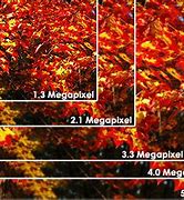 Image result for Photos of Different Megapixels