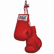 Image result for Red Everlast Boxing Gloves
