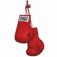 Image result for Red Boxing Gloves