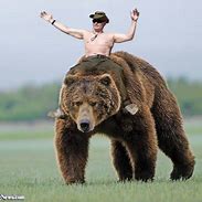 Image result for Putin Bear