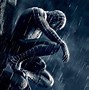 Image result for Black Spider-Man Pic