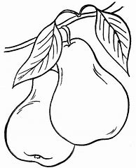 Image result for Pear